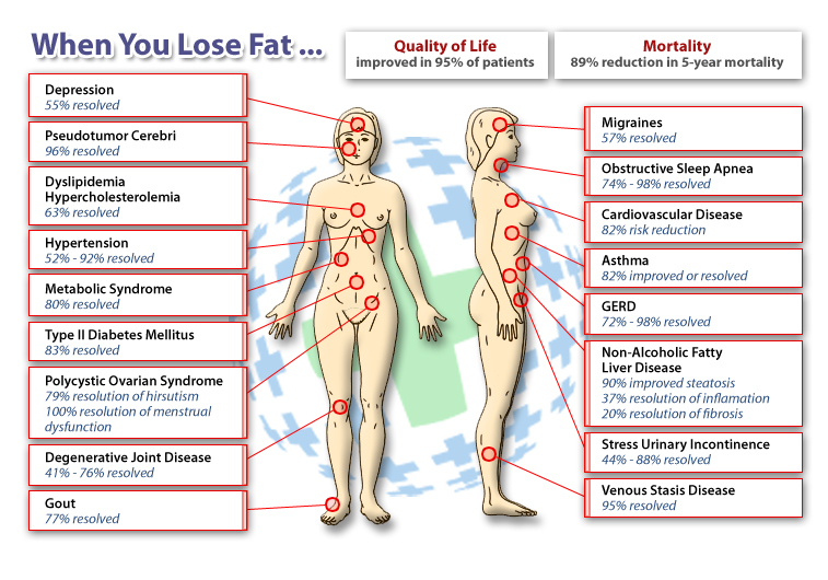 Effects Of Low Body Fat 11