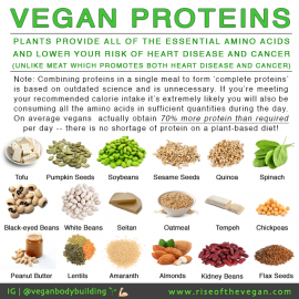 Improving vegetarian protein status: a complete guide
