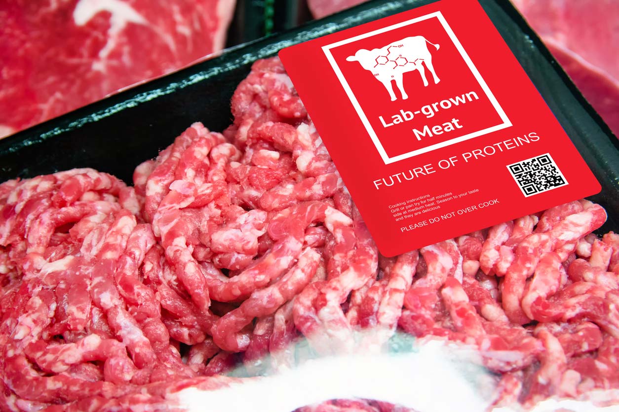 How healthy is fake meat and is it safe to eat?