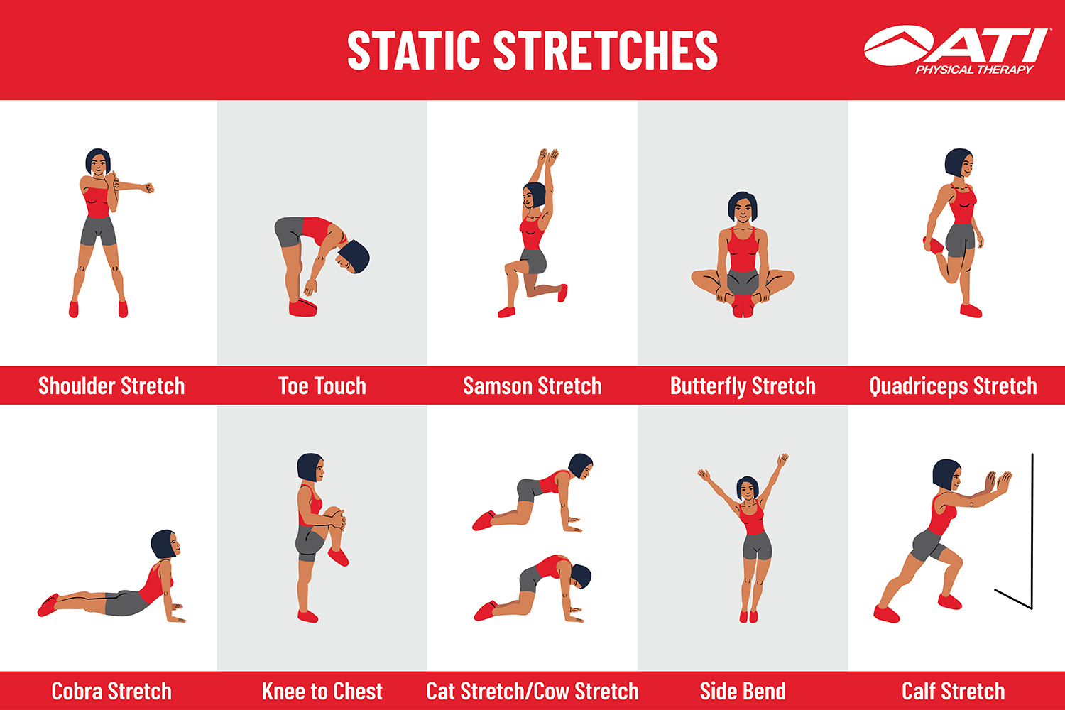 Does stretching increase muscle mass?
